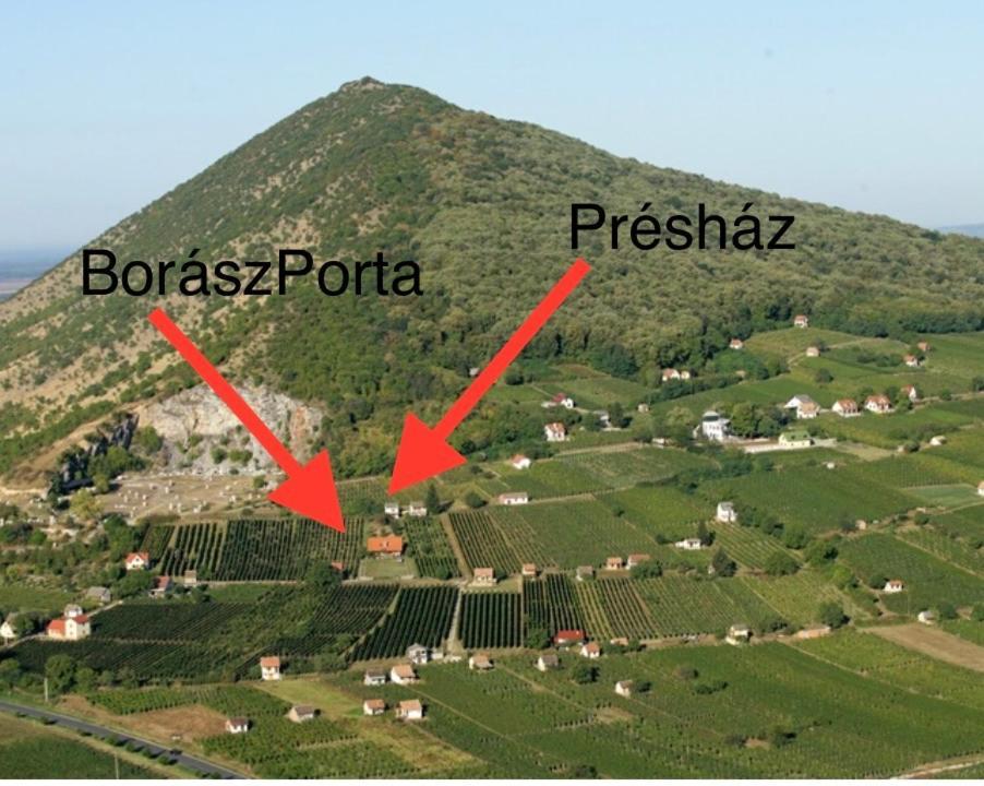 Boraszporta - Preshaz 호텔 빌라니 외부 사진